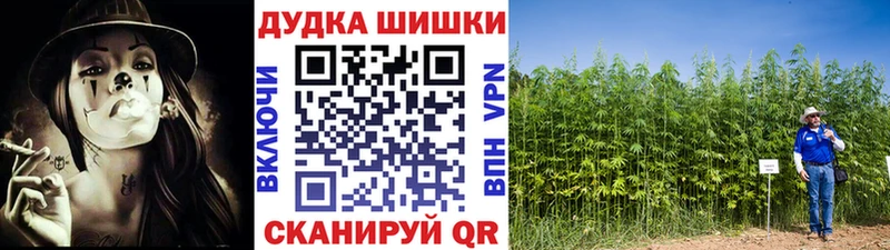 Магазин наркотиков Сенгилей блэк спрут онион  Меф  СОЛЬ  Галлюциногенные грибы  Гашиш  Канабис 