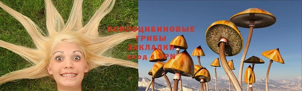 mdma Новозыбков