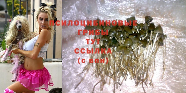 гашик Новокубанск