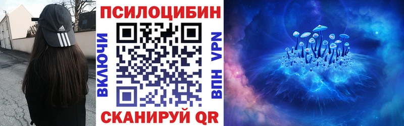 kraken   как найти   Сенгилей  Псилоцибиновые грибы Psilocybe 